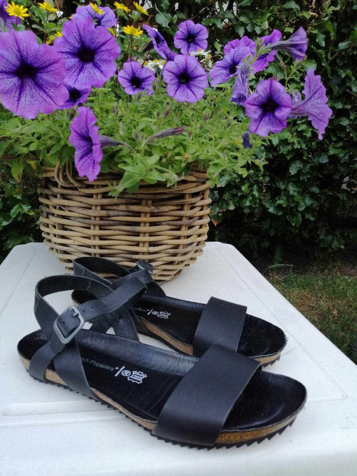 Sandalen zwart leer. Hush Puppies. Maat 38., Zwart, Zo goed als nieuw, Hush Puppies, Sandalen of Muiltjes