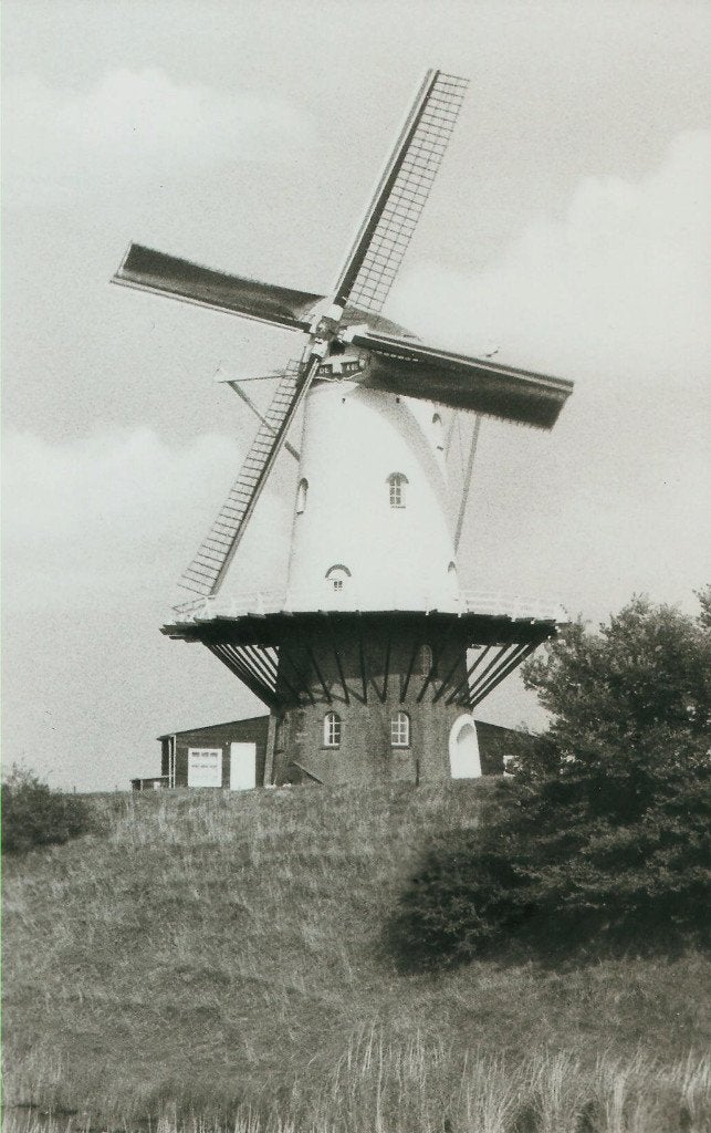 Veere molen De Koe 1984, Ophalen of Verzenden, 1980 tot heden, Ongelopen, Zeeland
