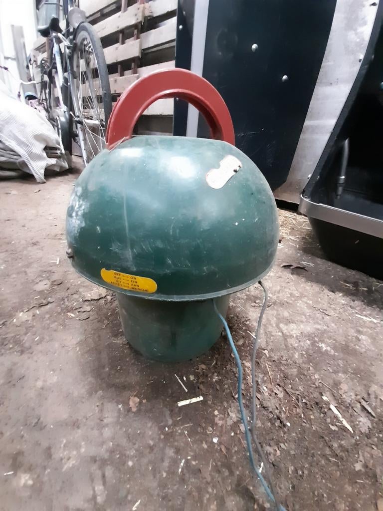 Weide paddestoelen voor omheining weiland met stroom