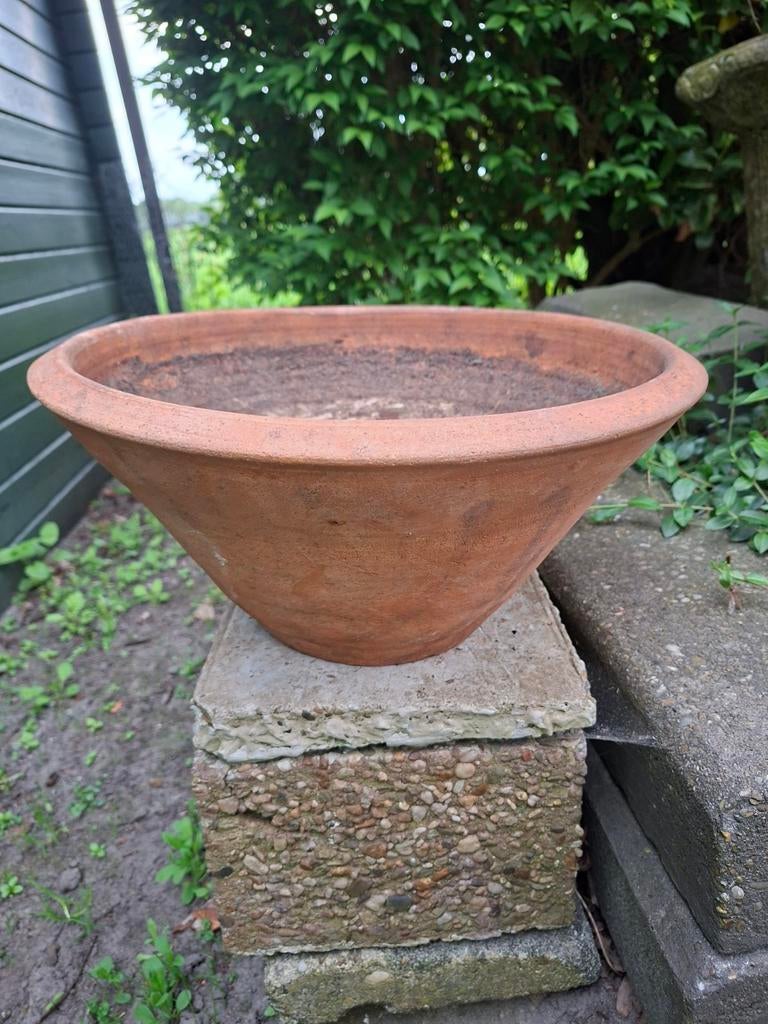 Terracotta bloempot schaal - Gebruikt, Tuin en Terras, Gebruikt, 40 cm of meer, Ophalen of Verzenden, Minder dan 40 cm