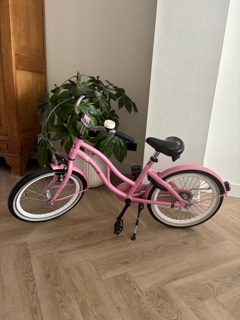 Alpina Ocean Cruiser 20 inch, Fietsen en Brommers, Ophalen, Zo goed als nieuw, Terugtraprem, 20 inch of meer