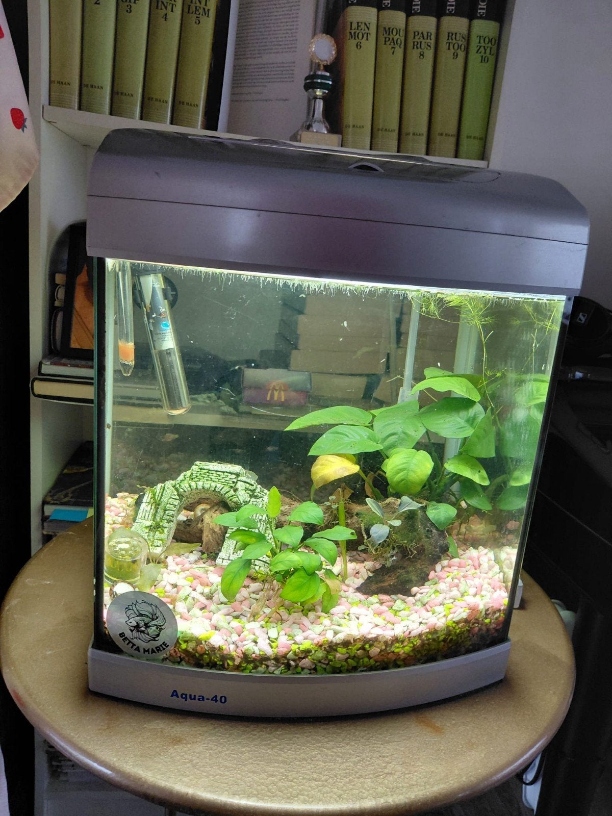 Aquarium 40L, Ophalen, Filter