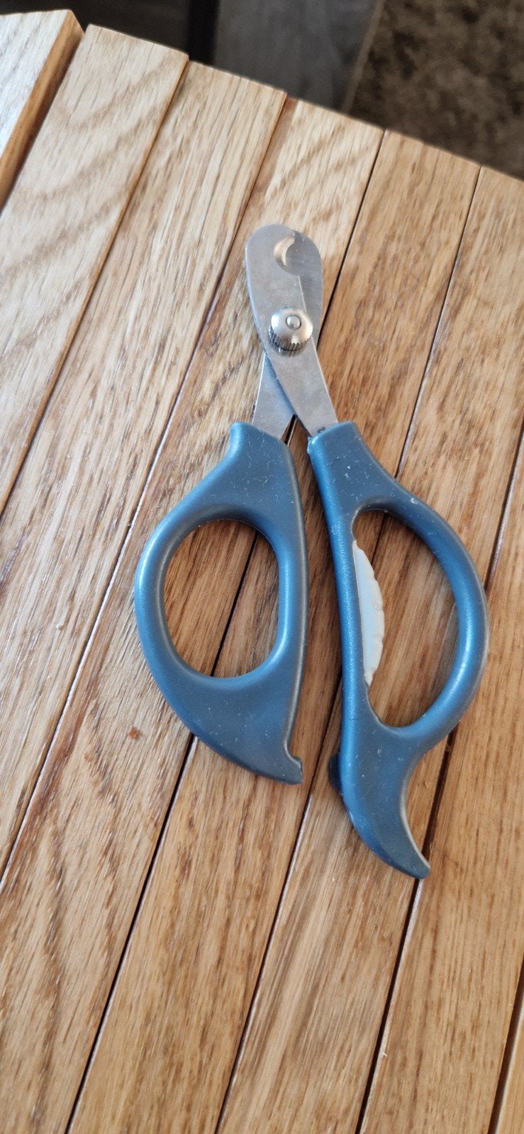 konijnen nagelschaartje, Ophalen, Verzorging