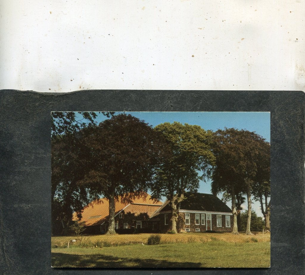 Ansicht Schildwolde - Boerderij, Singel, Verzamelen, Ansichtkaarten | Nederland, Verzenden, 1980 tot heden, Ongelopen, Drenthe