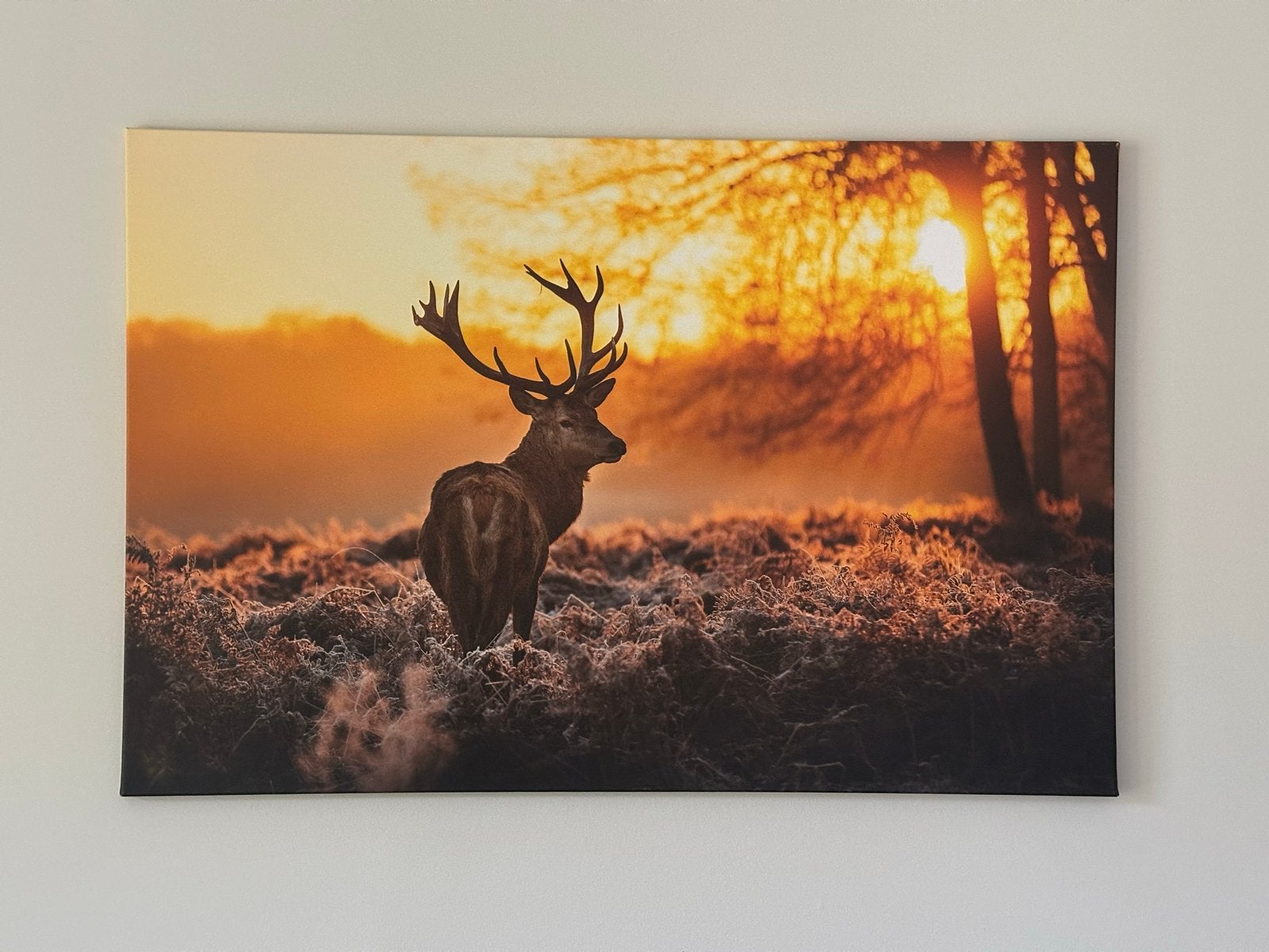 Hert in zonsondergang canvas print gespannen op houten Fame, Ophalen, Overige typen, Zo goed als nieuw, 100 tot 125 cm