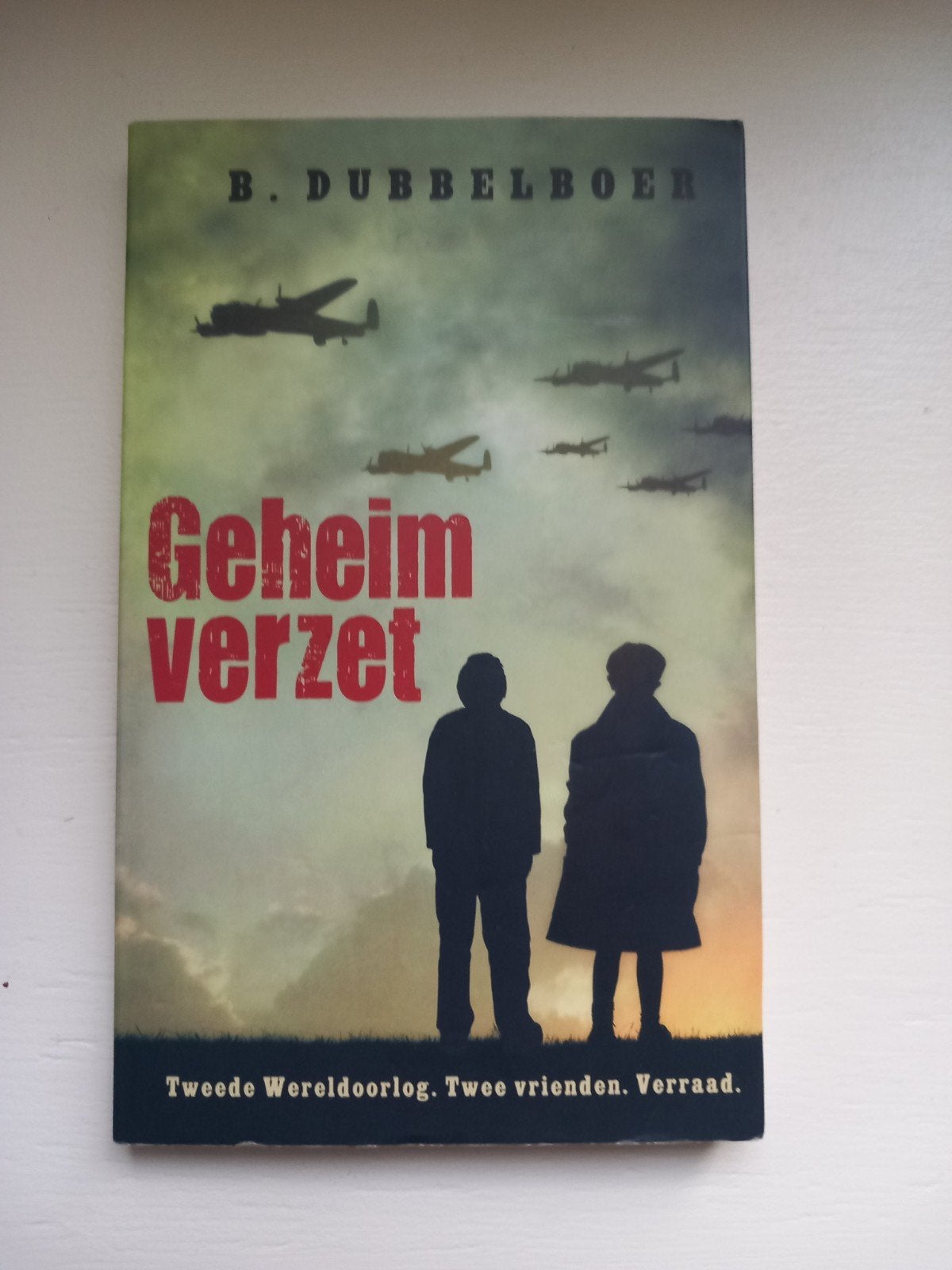 Geheim Verzet - B. Dubbelboer (Tweede Wereldoorlog), Boeken, Ophalen of Verzenden