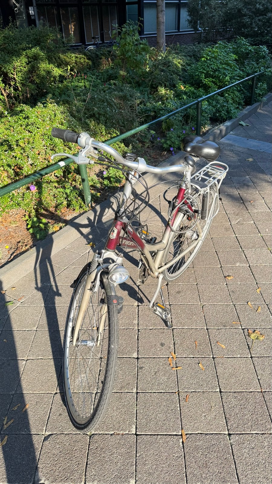 Union GoldRun, 53 tot 56 cm, Velgrem, Versnellingen, Zo goed als nieuw