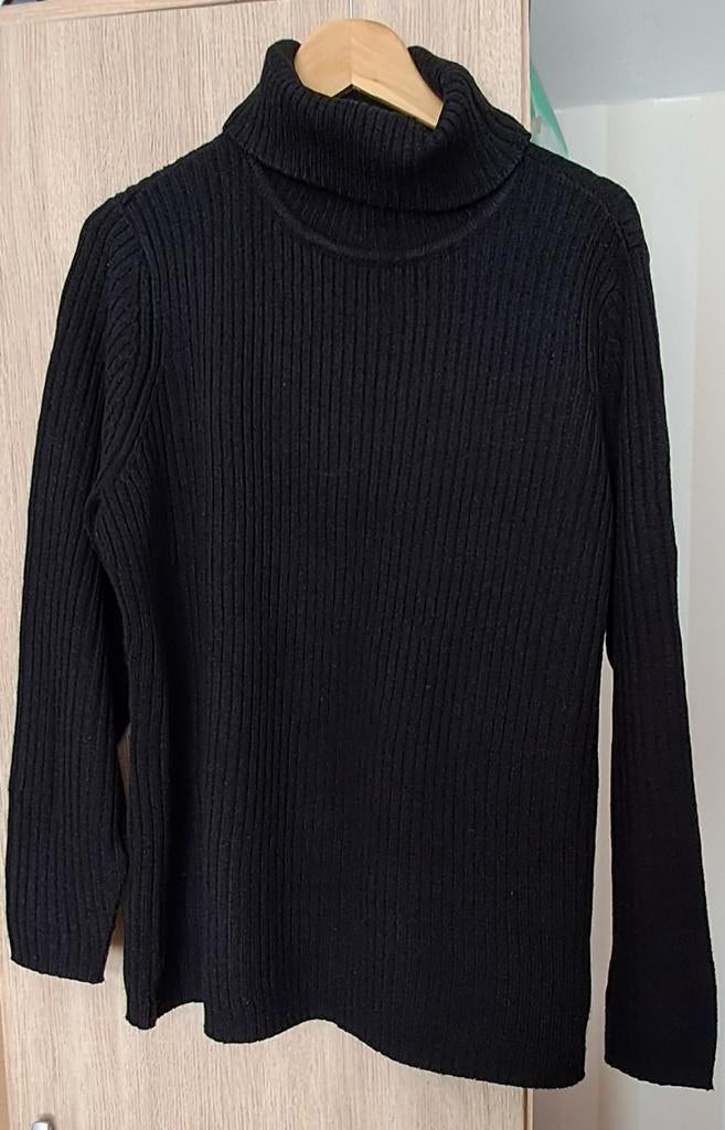 Zwarte coltrui, Kleding | Dames, Ophalen of Verzenden, Zo goed als nieuw, Maat 46/48 (XL) of groter, Zwart