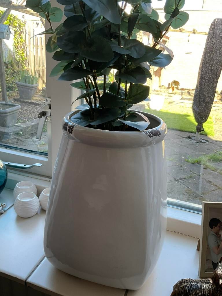 2 ptmd potten, Ophalen of Verzenden