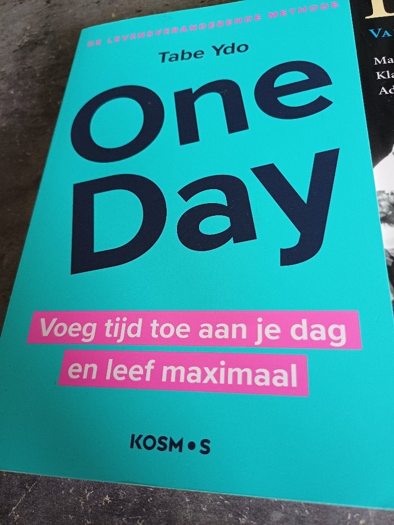 ONE DAY, Boeken, Ophalen of Verzenden, Zo goed als nieuw, Overige onderwerpen, Achtergrond en Informatie