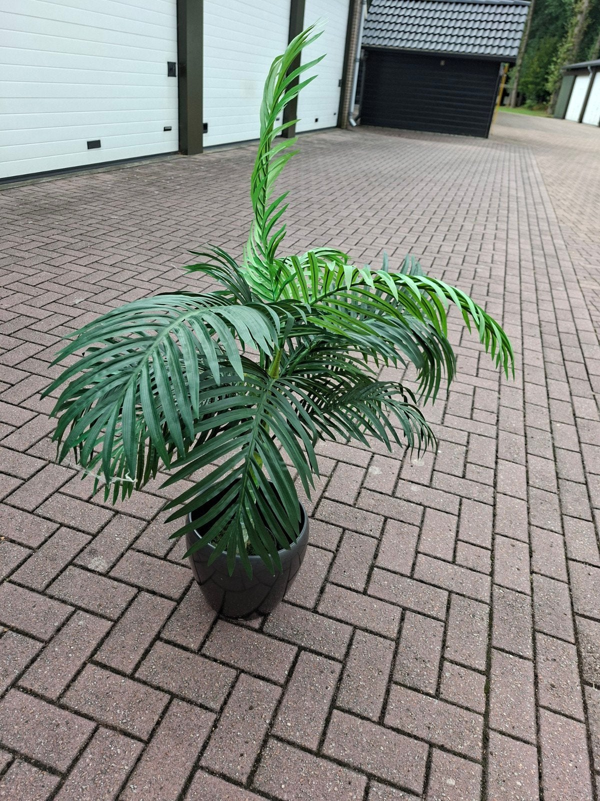 Kunstpalm in pot, Ophalen, 100 tot 150 cm, Palm, Halfschaduw