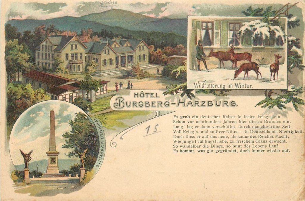 701-291-025 Harzburg Hotel Burgberg, Verzenden, Voor 1920, Duitsland