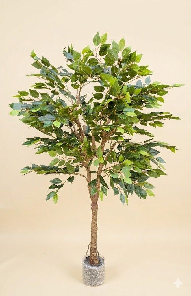 kunstplant kunstboom Ficus benjamin 180 cm, 180 cm, Binnen, Lank, Onderhoudsvrij