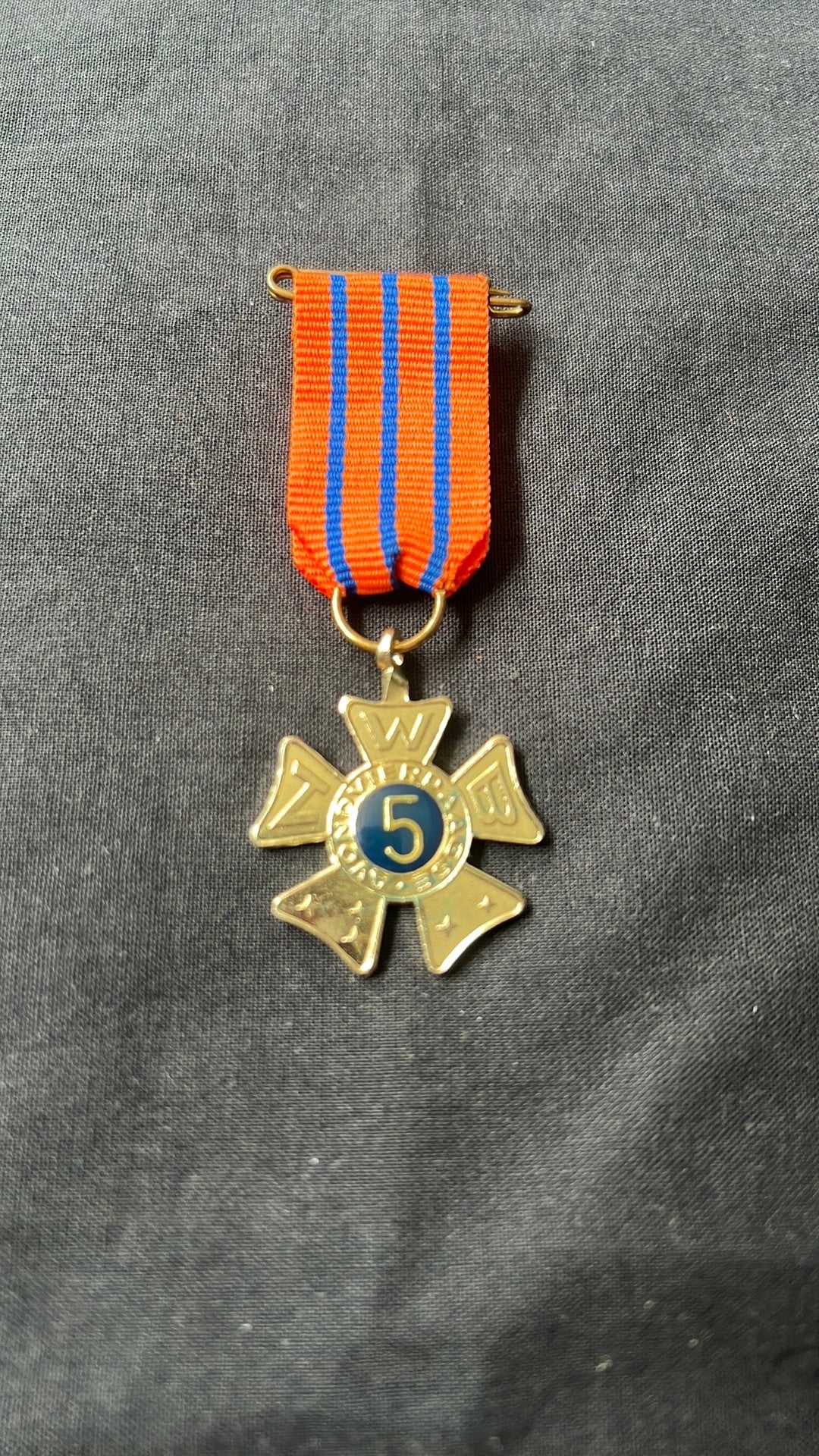 Avondvierdaagse medaille nr 5, Ophalen of Verzenden, Overige materialen