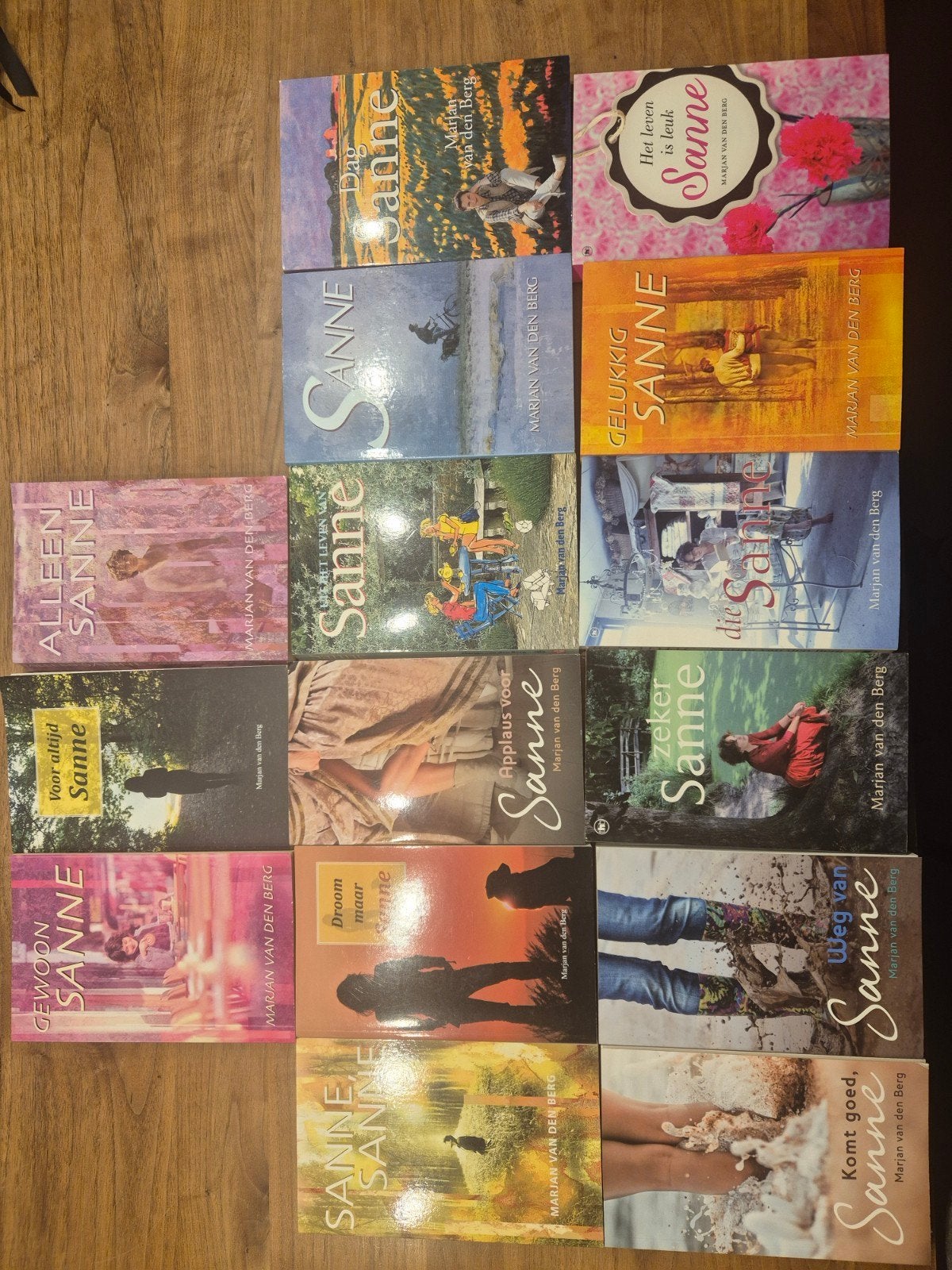 Sanne boekenreeks - Marjan van den Berg (17 boeken), Boeken, Romans, Gelezen, Nederland, Ophalen