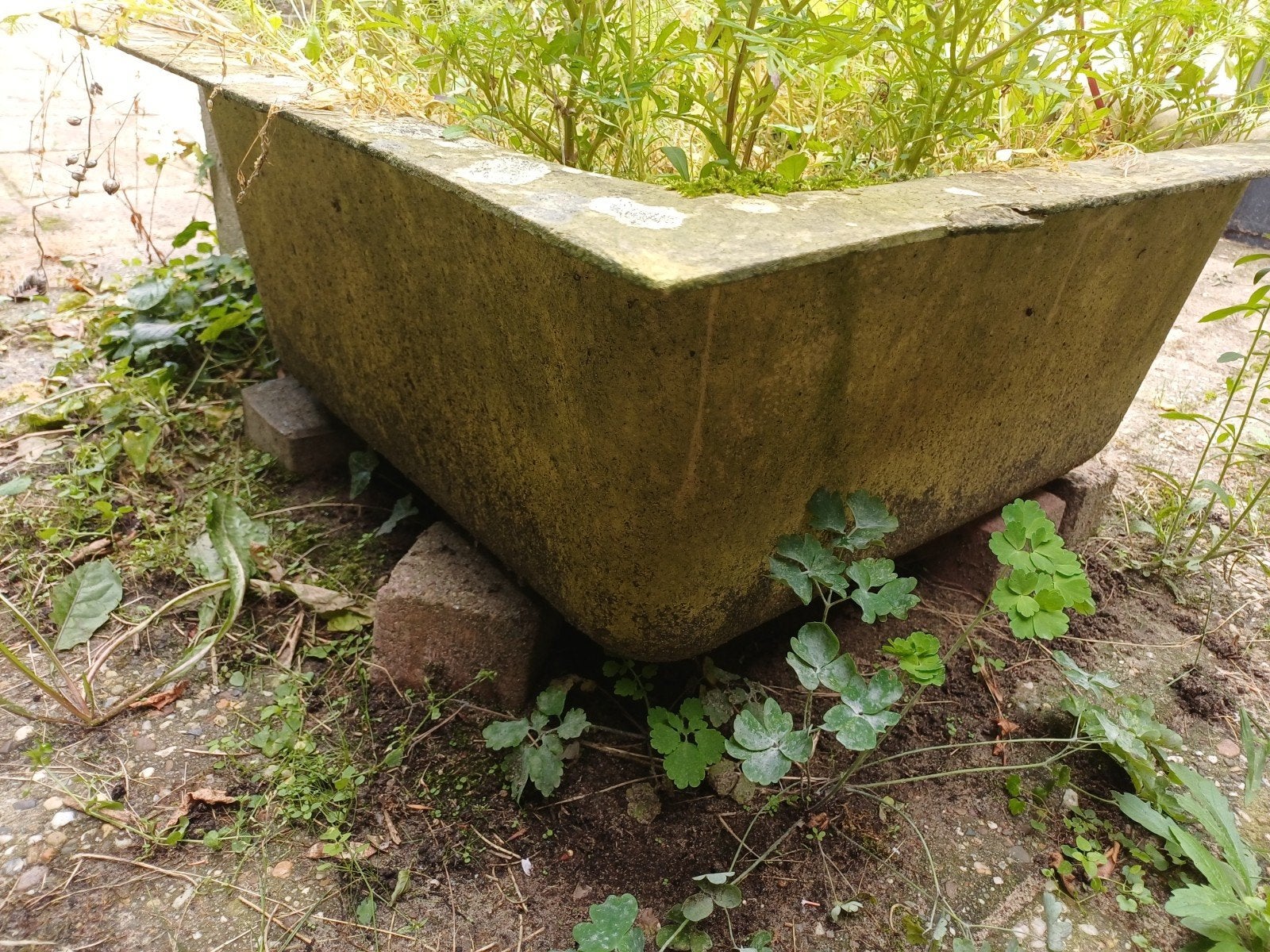 Grote plantenbak voor tuin of balkon gratis, Ophalen, Overige materialen, Gebruikt, 100 cm of meer
