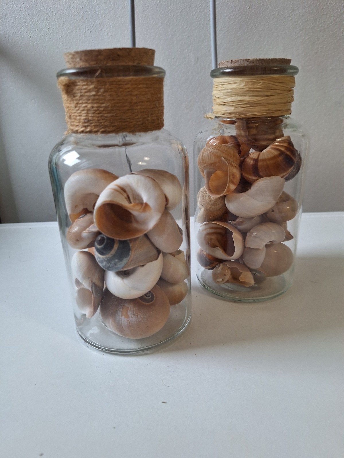 Decoratieve glazen stolpflesjes  met schelpen, Ophalen of Verzenden, Zo goed als nieuw