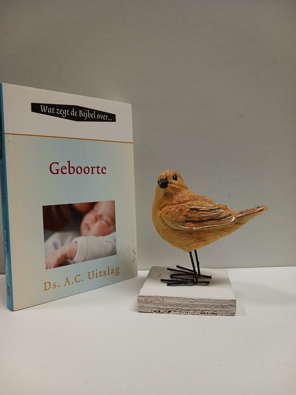Uitslag, Ds. A.C.; Wat zegt de Bijbel over Geboorte, Boeken, Ophalen of Verzenden, Gelezen, Christendom | Protestants