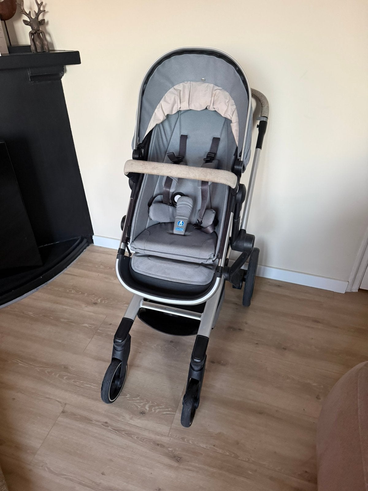 Licht Grijze Joolz Day + 2-in-1 Kinderwagen, Kinderen en Baby's, Kinderwagens en Combinaties, Zo goed als nieuw, Verstelbare duwstang