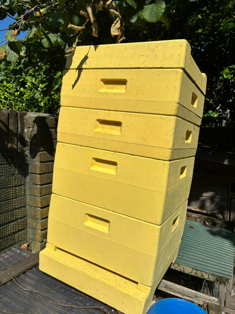 Bijenkast + accessoires, Bijen