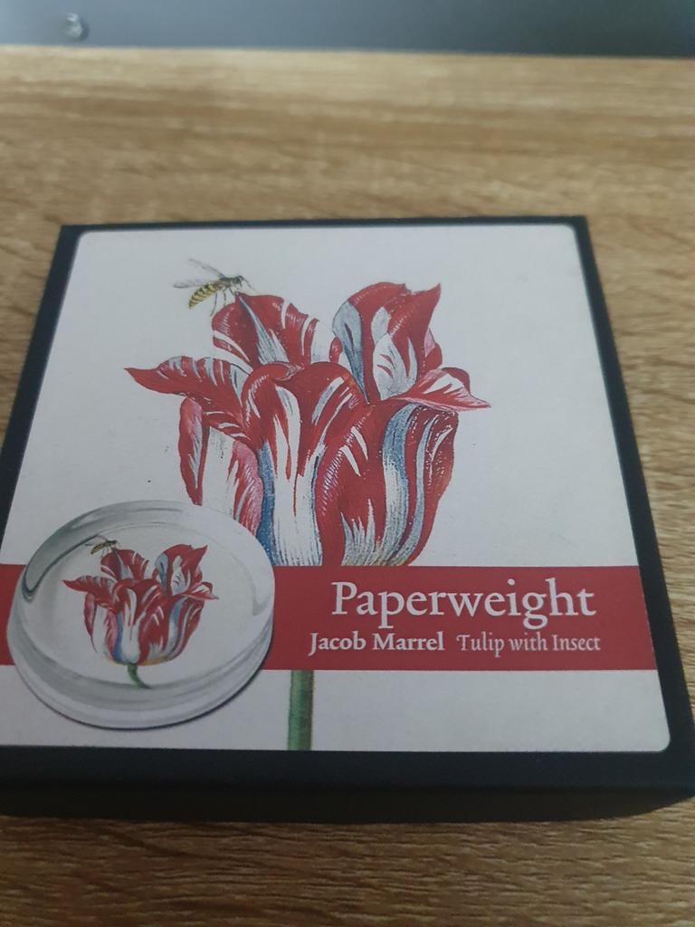 Nieuwe presse-papier met tulp, Ophalen of Verzenden, Nieuw