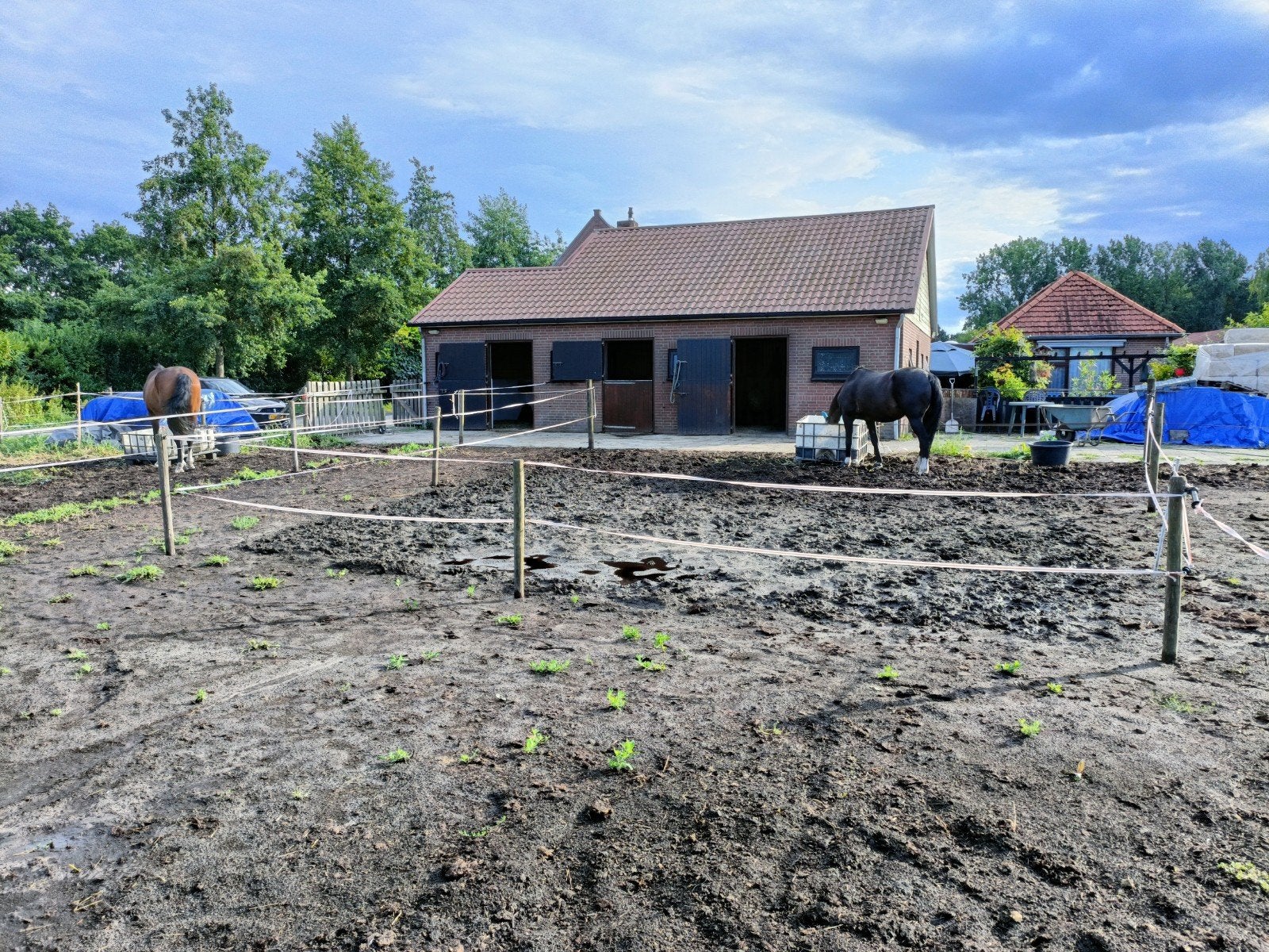 nog 1 plekje vrij in Schijndel, Weidegang, 1 paard of pony