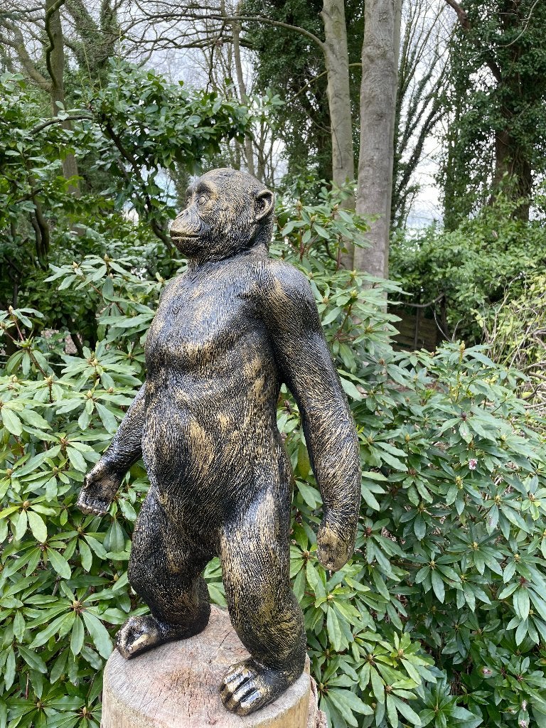 Beeld Stoere aap, tuin, babykamer, dieren 80cm, Ophalen, Nieuw, Kunststof, Dierenbeeld