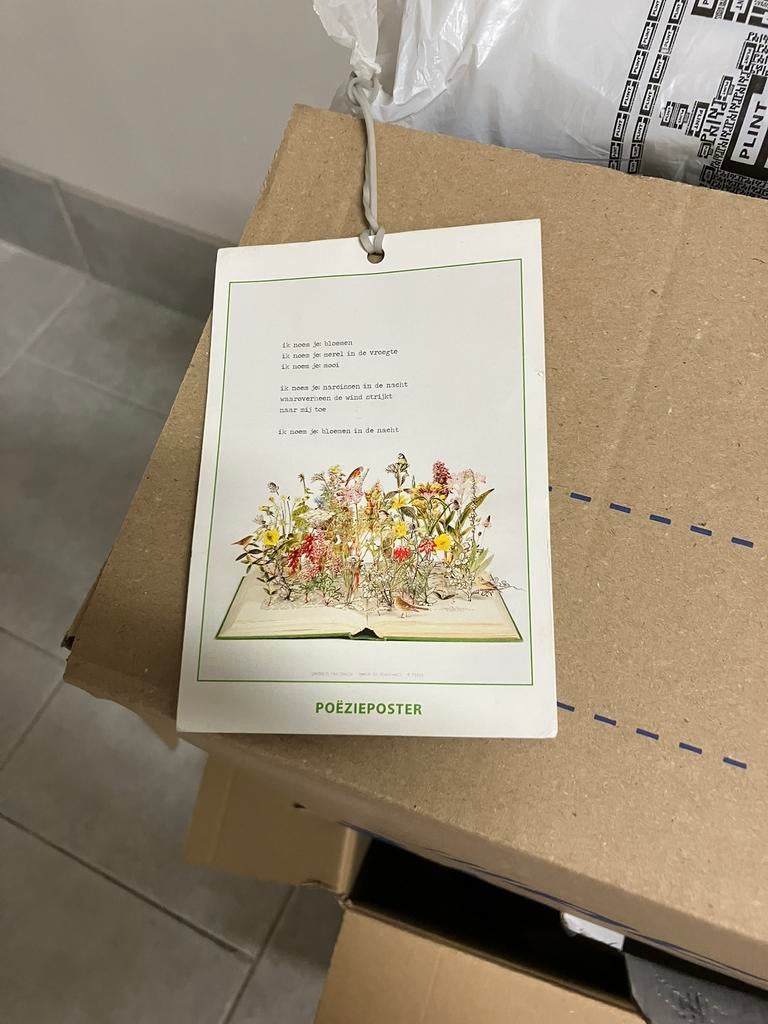 Plint. Poëzieposter. Gedicht Jan Hanlo: ik noem je bloemen, Ophalen of Verzenden, Zo goed als nieuw, Jan Hanlo