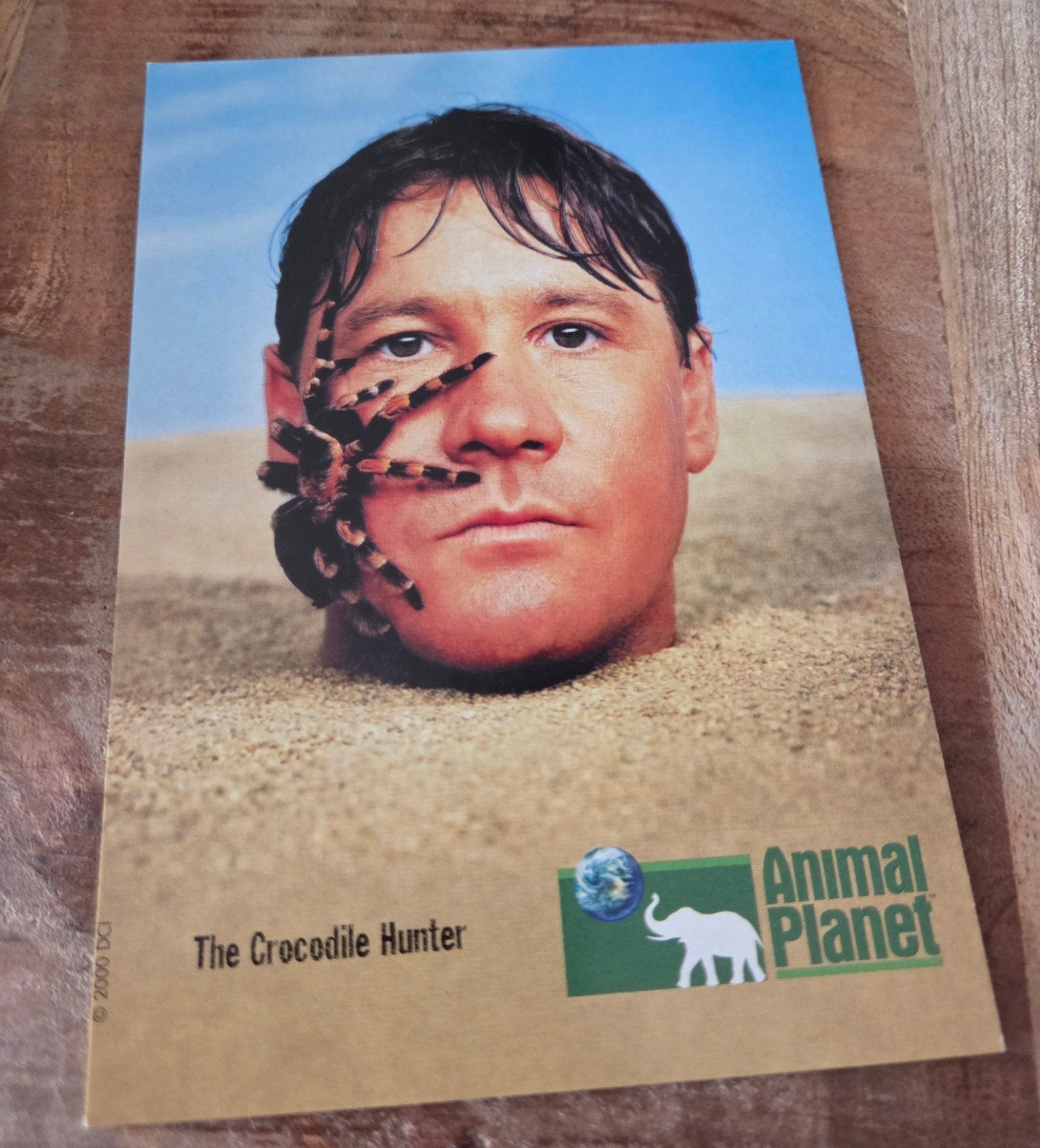 Ansichtkaart Steve Irwin The Crocodile Hunter Animal Planet, Verzenden, 1980 tot heden, Ongelopen, Sterren en Beroemdheden