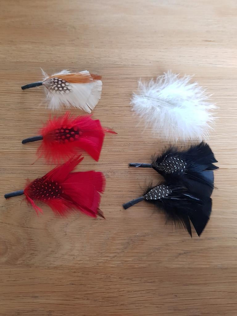 Decoratieve veren voor knutselprojecten, Hobby en Vrije tijd, Knutselen, Ophalen of Verzenden