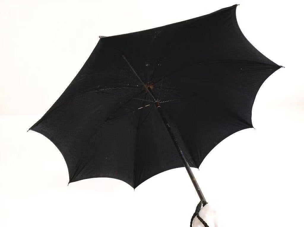 Antieke paraplu met zilveren handvat (mesheft), Hooijkaas, Verzenden, Zilver