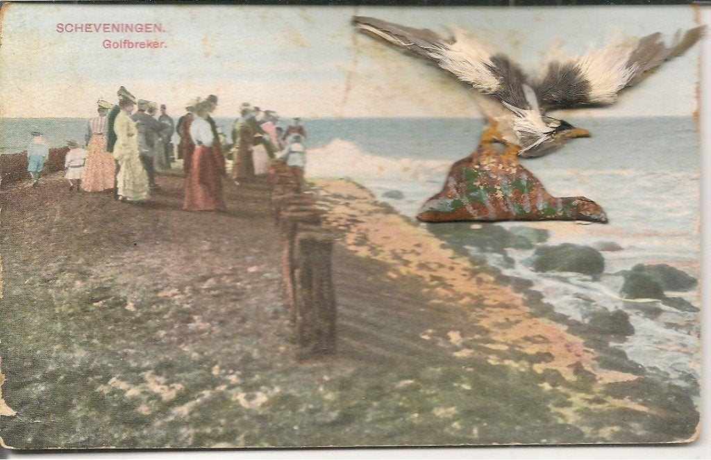Oude ansichtkaart Scheveningen Golfbreker met meeuw 3D, Ophalen of Verzenden, Voor 1920, Gelopen, Zuid-Holland