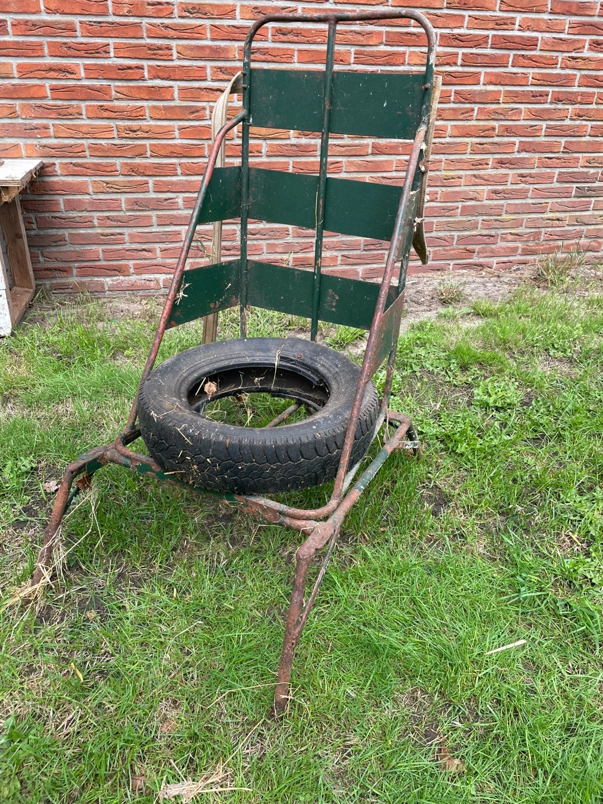 Kantel bekapstoel voor schaap of geit, Vrouwelijk, Schaap
