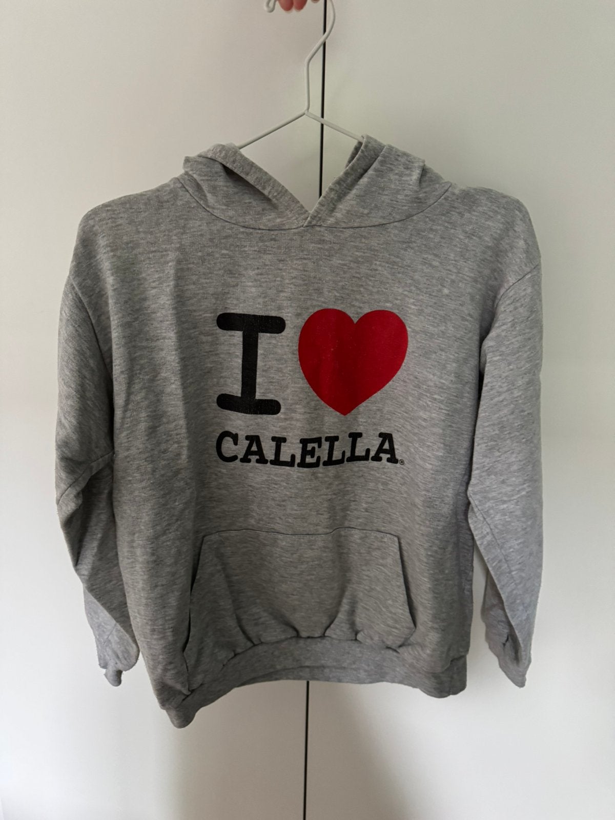 Hoodie, Ophalen, Gedragen, Maat 36 (S), Grijs