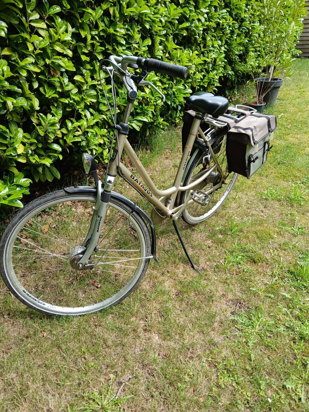 Damesfiets, Ophalen, Gebruikt, Batavus
