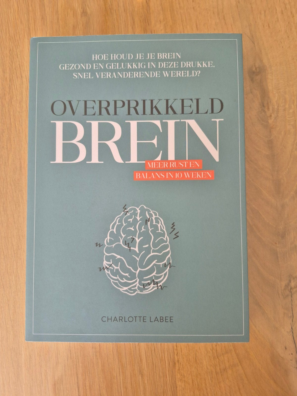 Overprikkeld Brein - Charlotte Labee (Zo goed als nieuw), Ophalen of Verzenden, Zo goed als nieuw, Klinische psychologie, Charlotte Labee