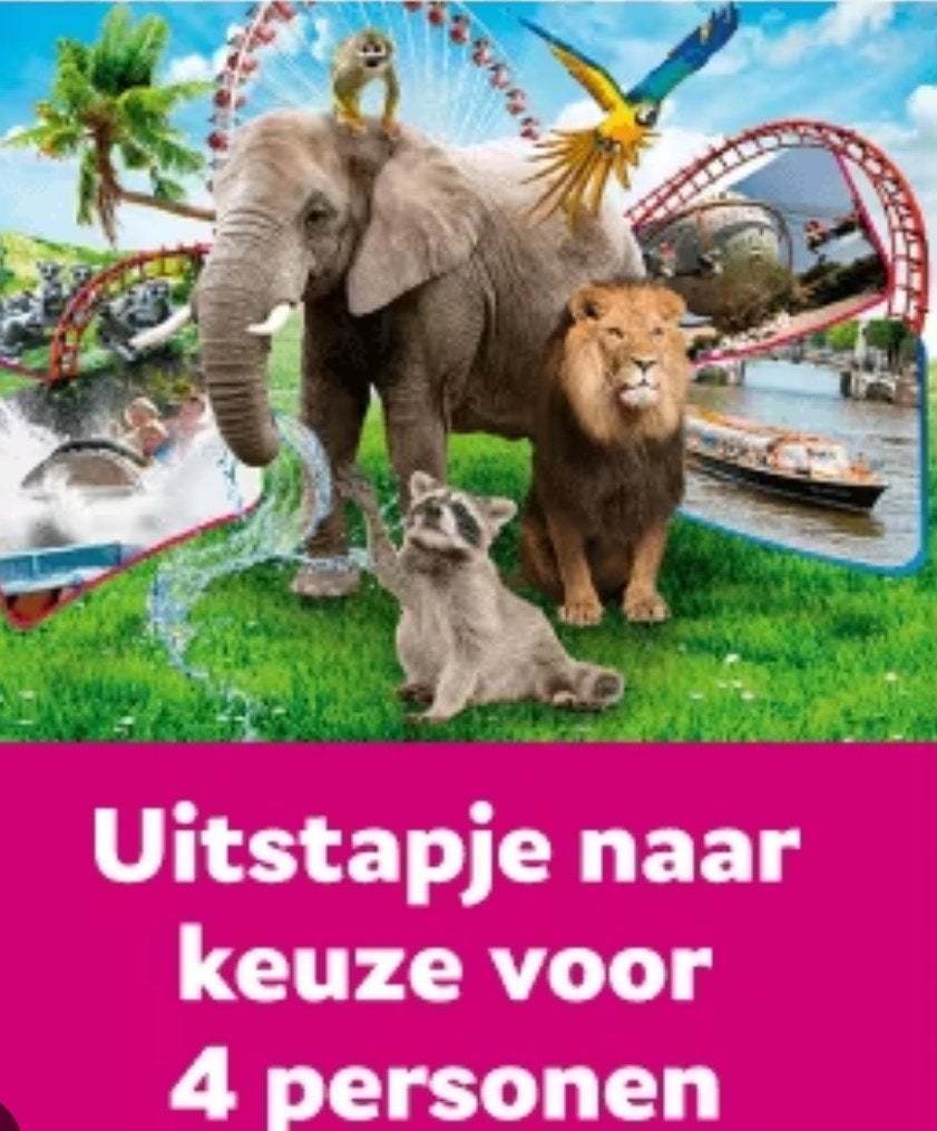 Uitstapje naar keuze voor 4 personen, Tickets en Kaartjes, Drie personen of meer, Ticket of Toegangskaart