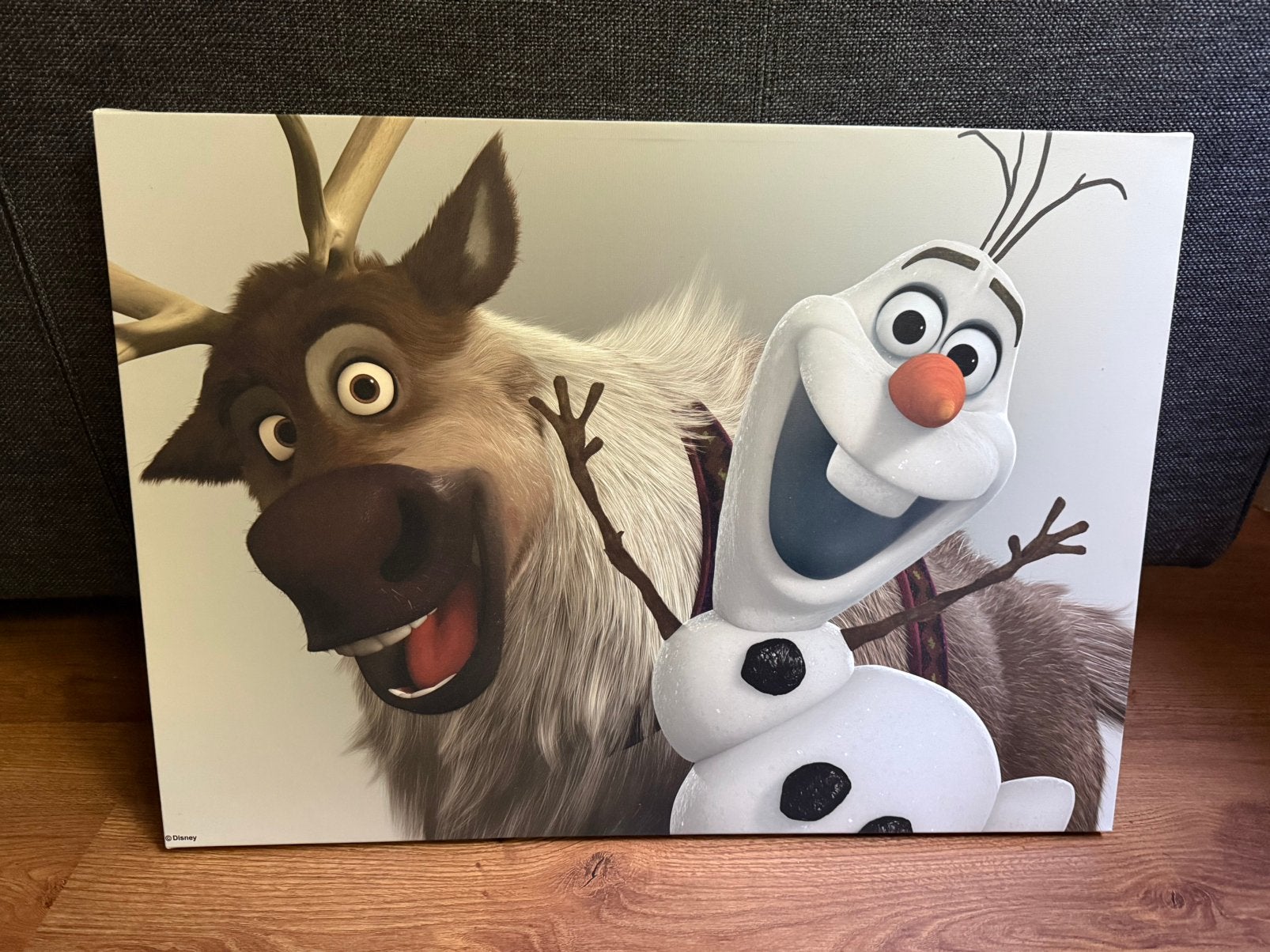 Frozen canvasschilderij, Ophalen, Zo goed als nieuw, Wanddecoratie