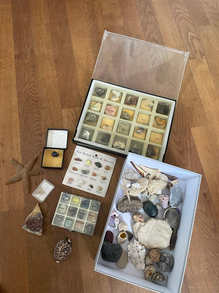 Uitgebreide collectie stenen, mineralen en fossielen, Ophalen of Verzenden, Overige typen