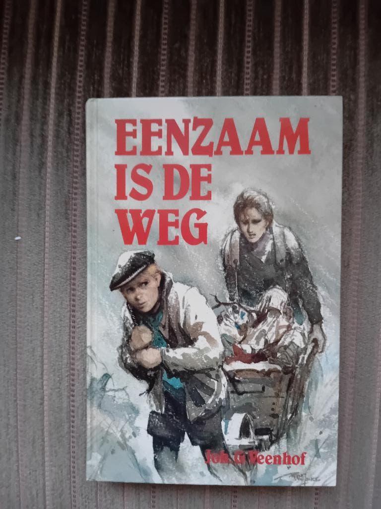 Boek - Eenzaam is de weg - Johan G.Veenhof, Boeken, Ophalen of Verzenden, Zo goed als nieuw, Johan G.  Veenhof, Nederland