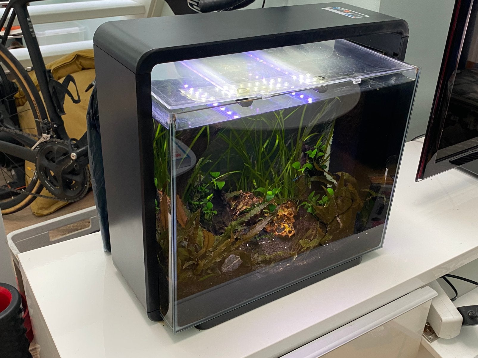 Compleet aquarium SuperFish 40 incl toebehoren, Ophalen, Gebruikt, Gevuld zoetwateraquarium