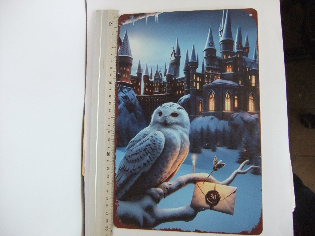 Nieuw Harry Potter Hogwarts Hedwig Uil Metalen Bord, Verzenden, Nieuw, Overige typen