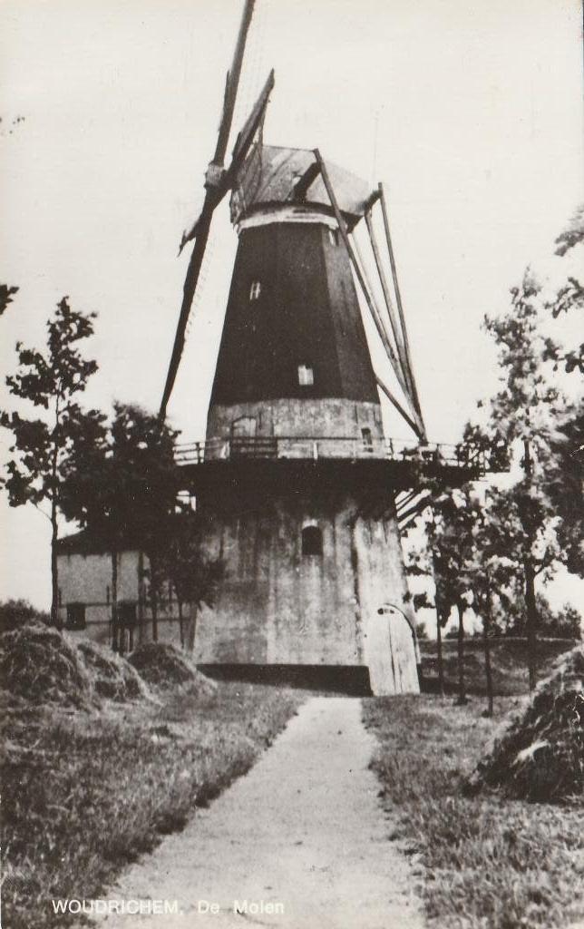 Woudrichem de molen, Verzamelen, Ansichtkaarten | Nederland, Ophalen of Verzenden, Ongelopen, Noord-Brabant