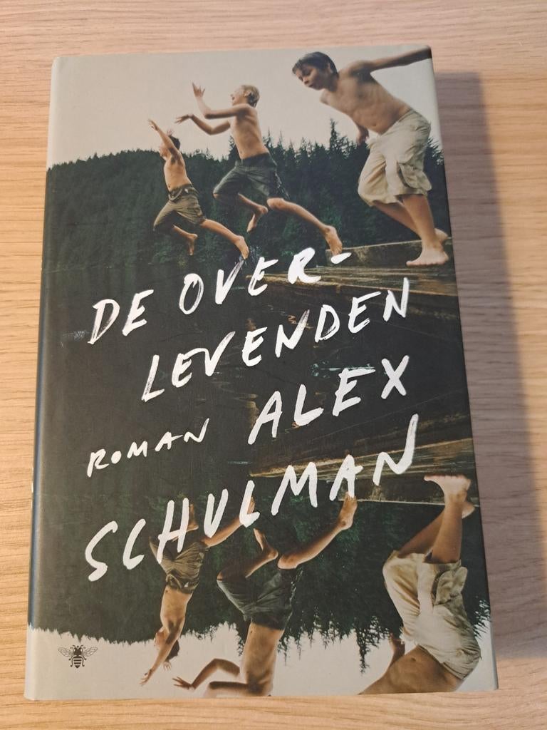 De overlevenden - Alex Schulman, Boeken, Romans, Gelezen, Nederland, Ophalen of Verzenden