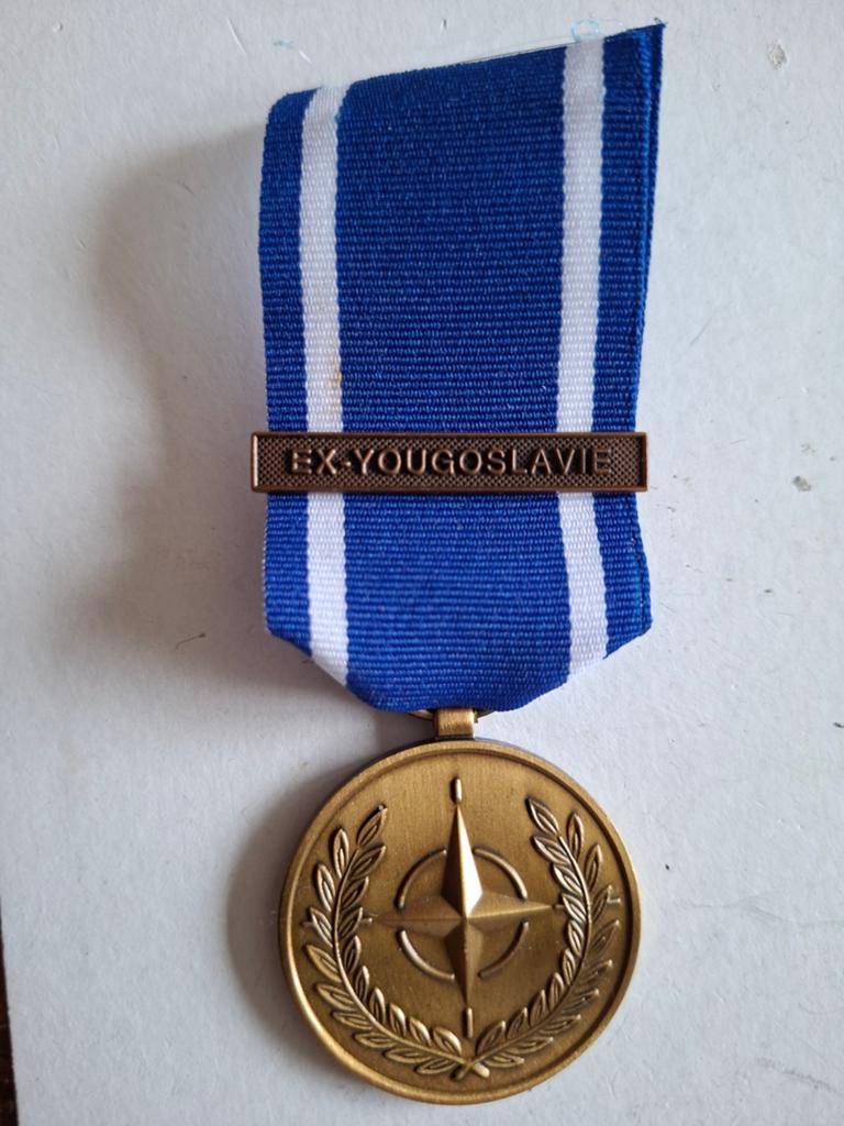 Nato medaille, Ophalen of Verzenden, Landmacht, Nederland, Embleem of Badge