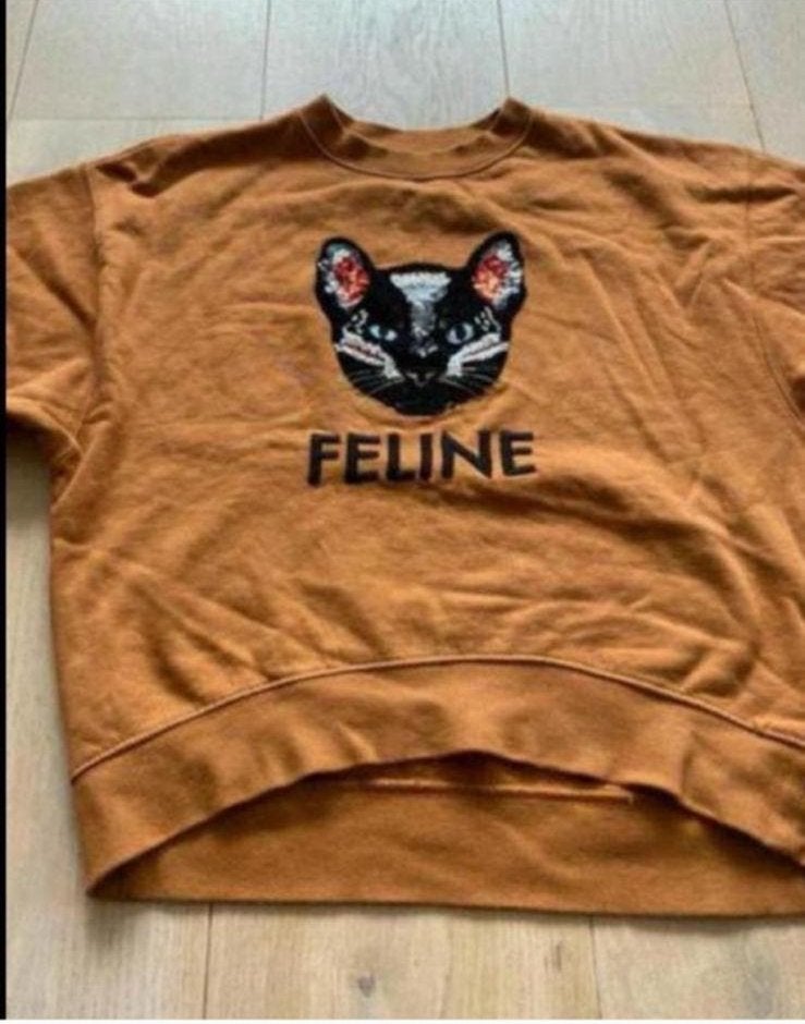 Kat feline one size sweater, Ophalen of Verzenden, Zo goed als nieuw, Maat 38/40 (M), Bruin