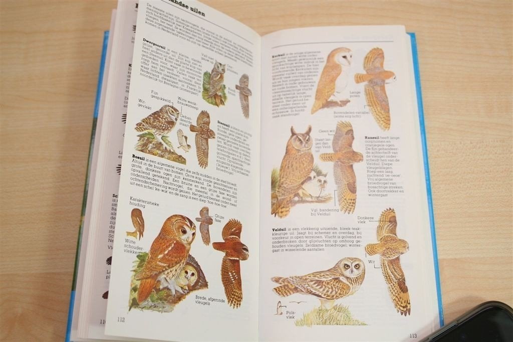 Hayman\'s Zakgids Vogels — Speciale Uitgave Vogelbescherming, Ophalen of Verzenden, Gelezen, Vogels