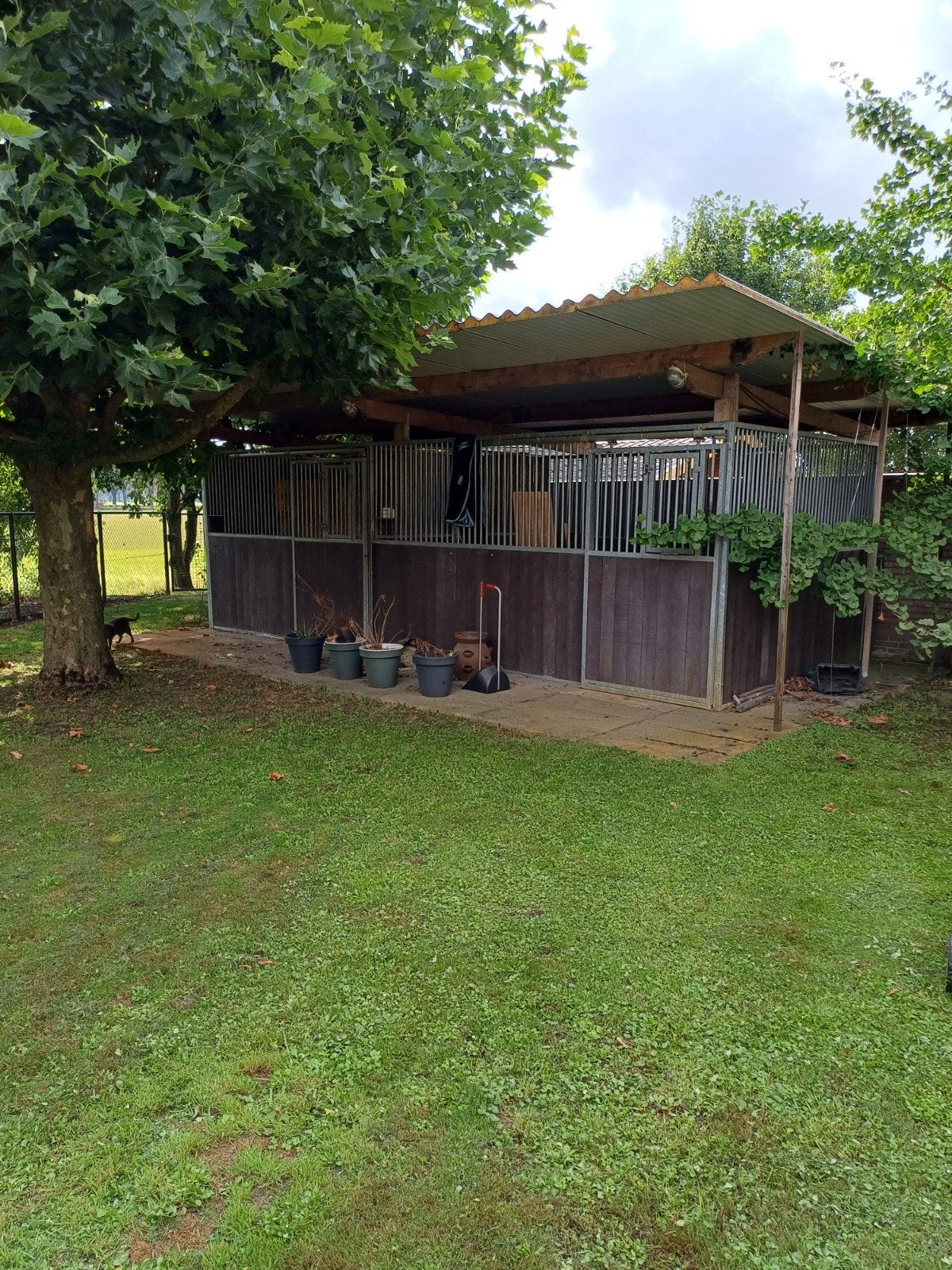 Paardenstallen te koop, Dieren en Toebehoren, Paarden, Meerdere dieren, 3 tot 6 jaar