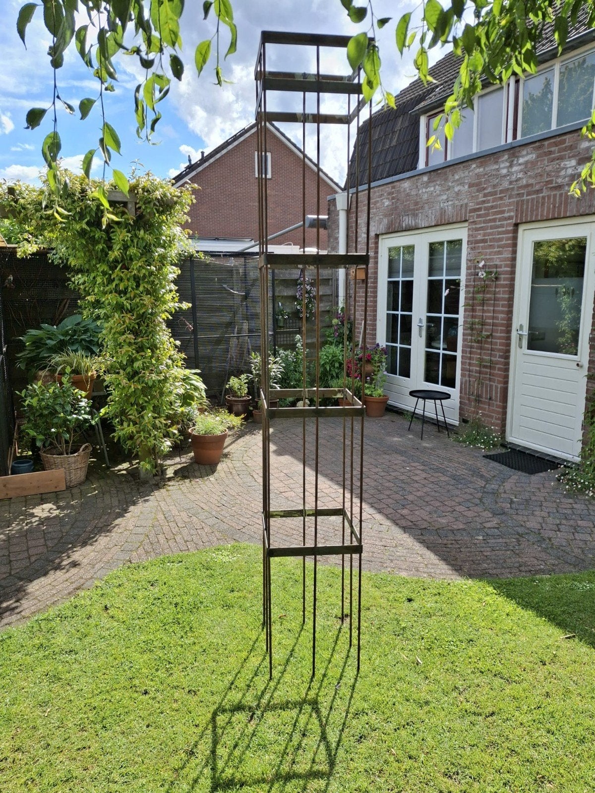 Metalen plantensteun voor klimplanten, Volle zon, Eenjarig, Bloeit niet, Ophalen