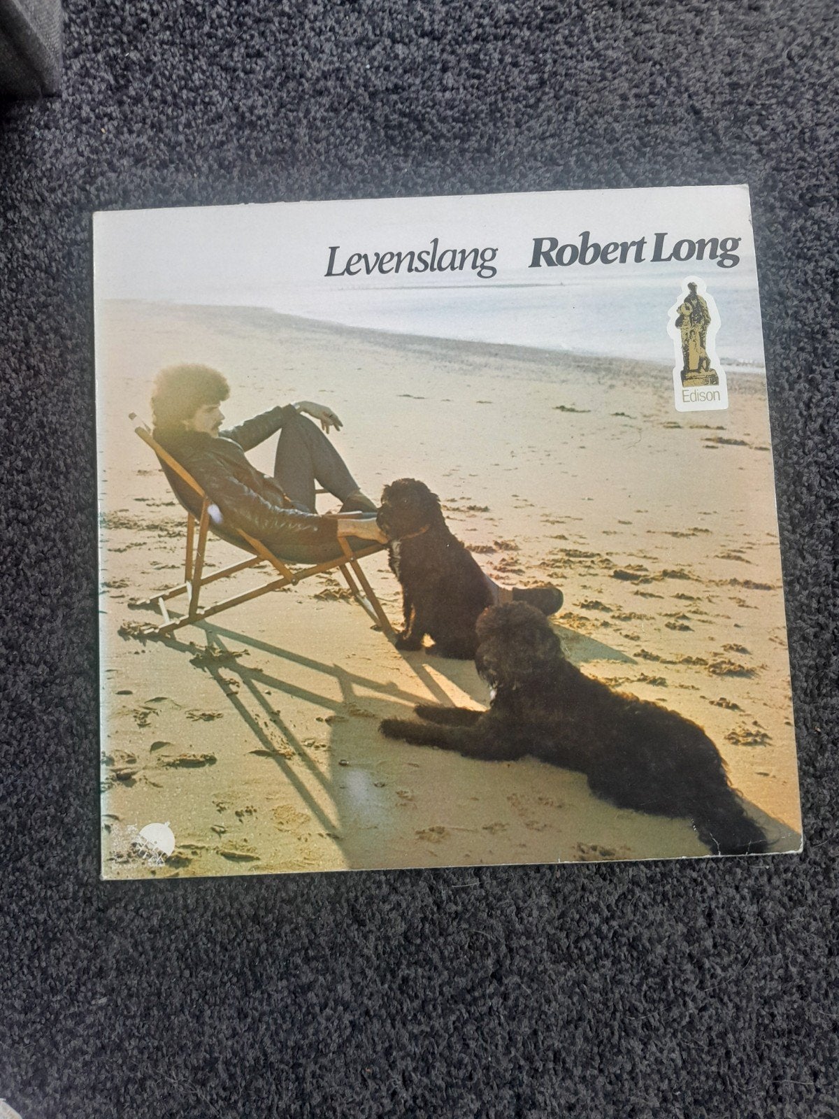 Robert Long Levenslang, Ophalen of Verzenden, Gebruikt, 12 inch, Levenslied of Smartlap